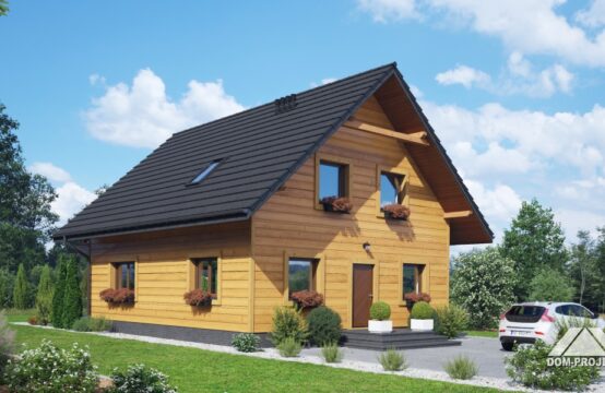 gryfinowo b1 dws