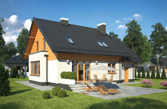 Sprzymierzeniec &#8211; wariant I &#8211; C301a