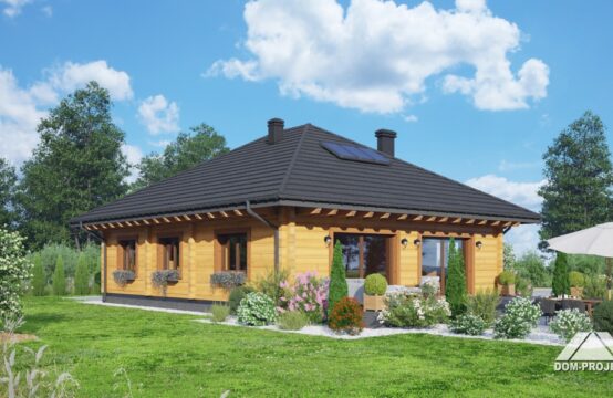 andrzejów b1 dw