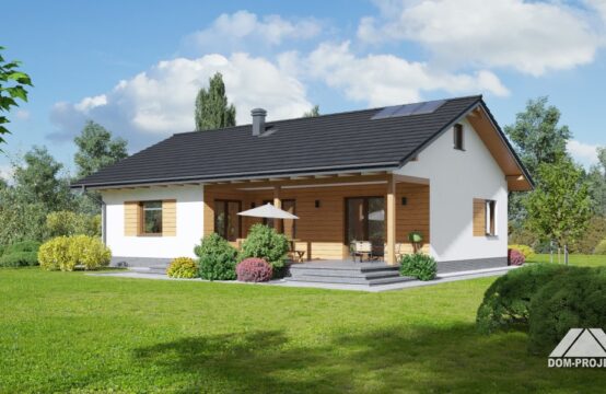 adomierz 1dws