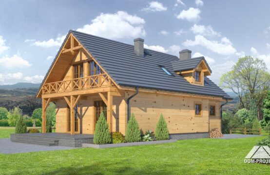 oleśnica dws
