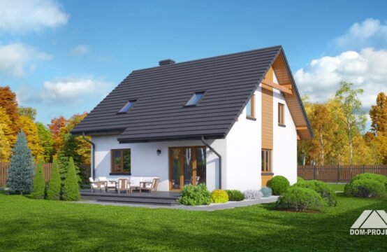 stopnica 3 dws