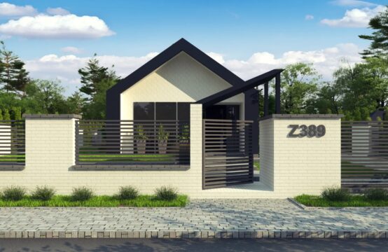 Z389 D