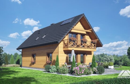 janowo ag dws