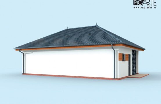 G315  szkielet drewniany budynek gospodarczy