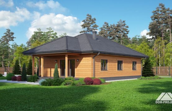 asnykowo dws
