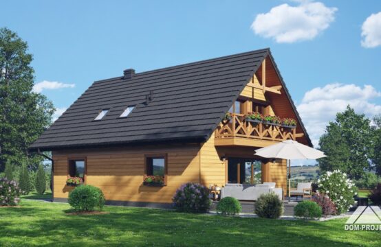 henryków a1 dws