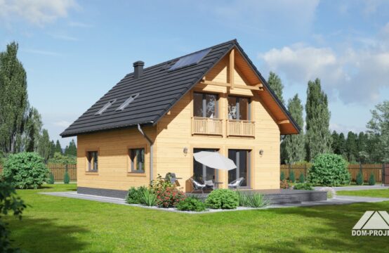 paczków 3 dws