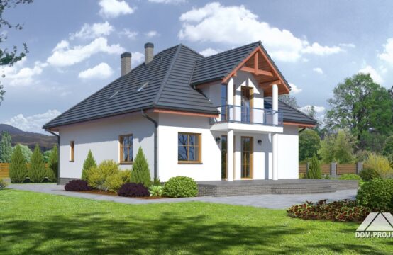 borków 11