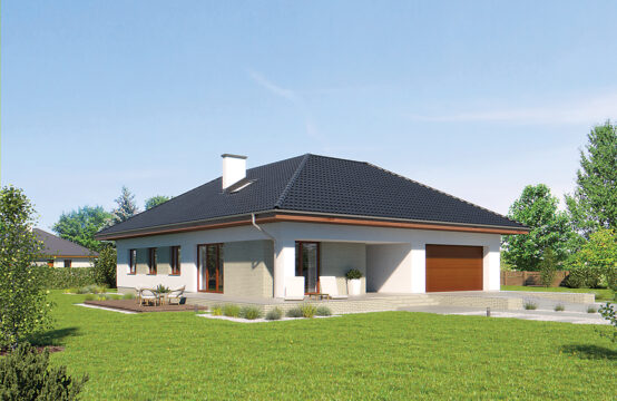 Biały bór &#8211; M211