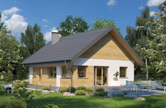 Miarodajny &#8211; wariant XV wersja 1 &#8211; C333pv1