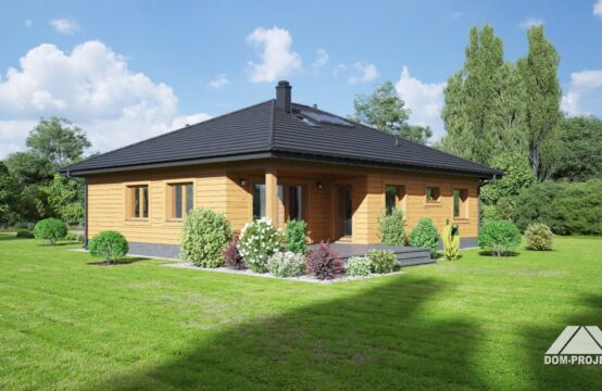 ardenowice dws